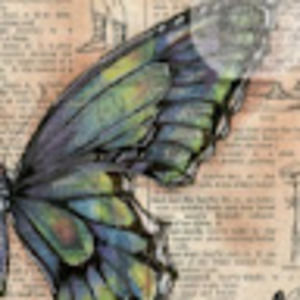 Meet your Posher, Alia